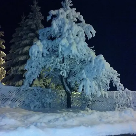 Apartma Viktorija Kranjska Gora Buitenkant foto